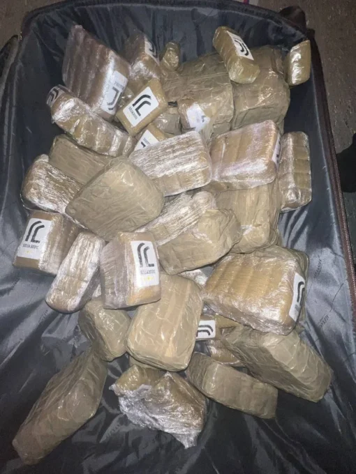 La Mouse Hash