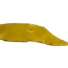 Cherry OG Shatter