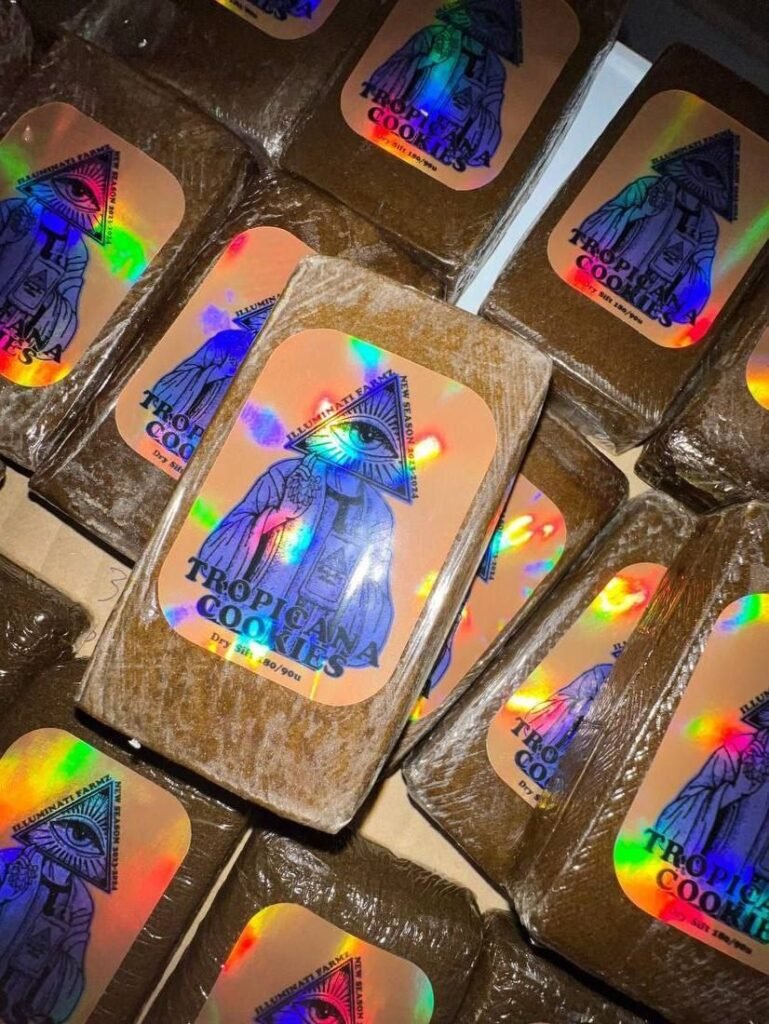 ILLUMINATI TECH OASIS